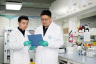 新型基因治疗策略为孤独症、癫痫等疾病带来新希望