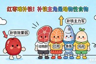 红枣难补铁！请收好“补铁食物排行榜”