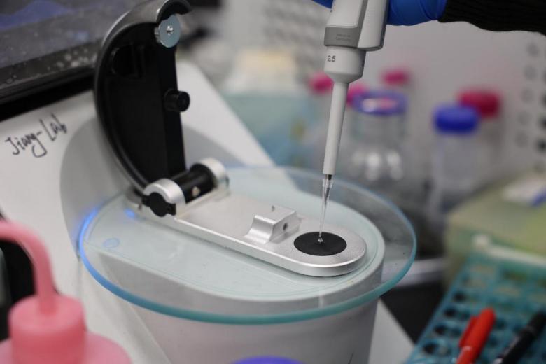 脂肪消消乐背后有个高效“快递员”