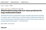 智源多模态大模型Emu3首登《自然》