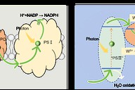 我科学家提出自然光驱动二氧化碳转化通用方案