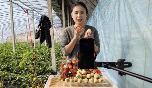 新春走基层｜助农增收有妙招！平度95后女孩返乡搞直播，让果蔬香飘全国