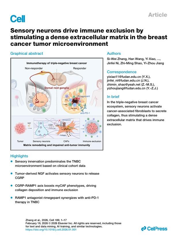 上海专家揭示感觉神经是“最毒乳腺癌”免疫治疗耐药“元凶”