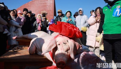 新春走基层｜网友自办年猪宴邀请大家免费吃，记者体验“山里年味”