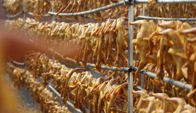 新春走基层丨日销5000只，青岛百年风干鸡春节“爆单”！老手艺赋能乡村振兴，每年20万只鸡“飞”向全国餐桌