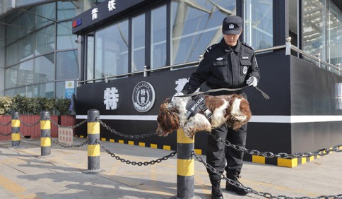 新春走基层｜搜爆犬上岗！春运一线的“特殊警员”，守护旅客平安路