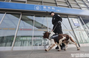 身怀绝技搜爆犬 守护春运回家路