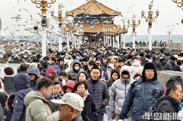 栈桥游客喂鸥 乐享假期“余额”时光