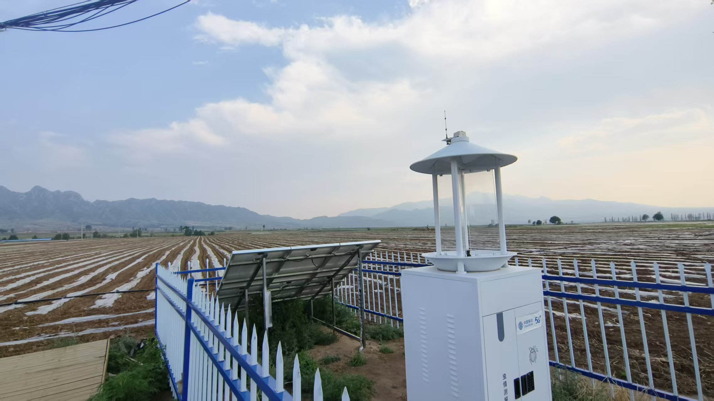 数智绘就乡村振兴新图景