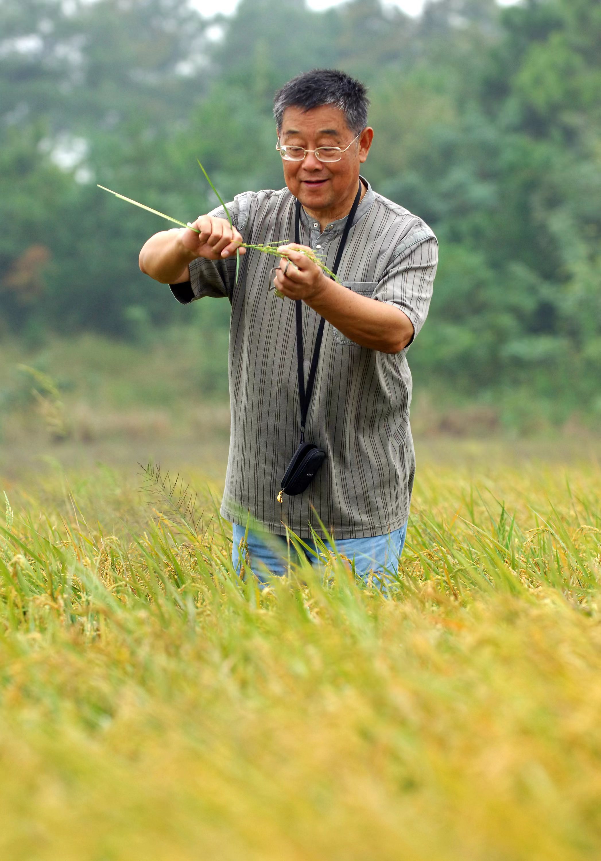 科技强农筑根基  2026年江苏一号文件聚焦农业科技创新