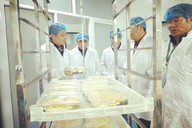 科技赋能 专家工作站护航古韵流村“年味生产线”全链升级