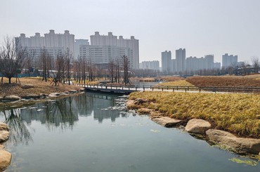 青岛张村河生态绿廊展新颜