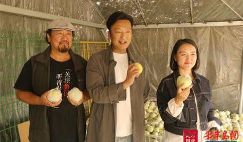 青岛“网红天团”卖力助销爱心果 万余斤宝山明月苹果销售一空