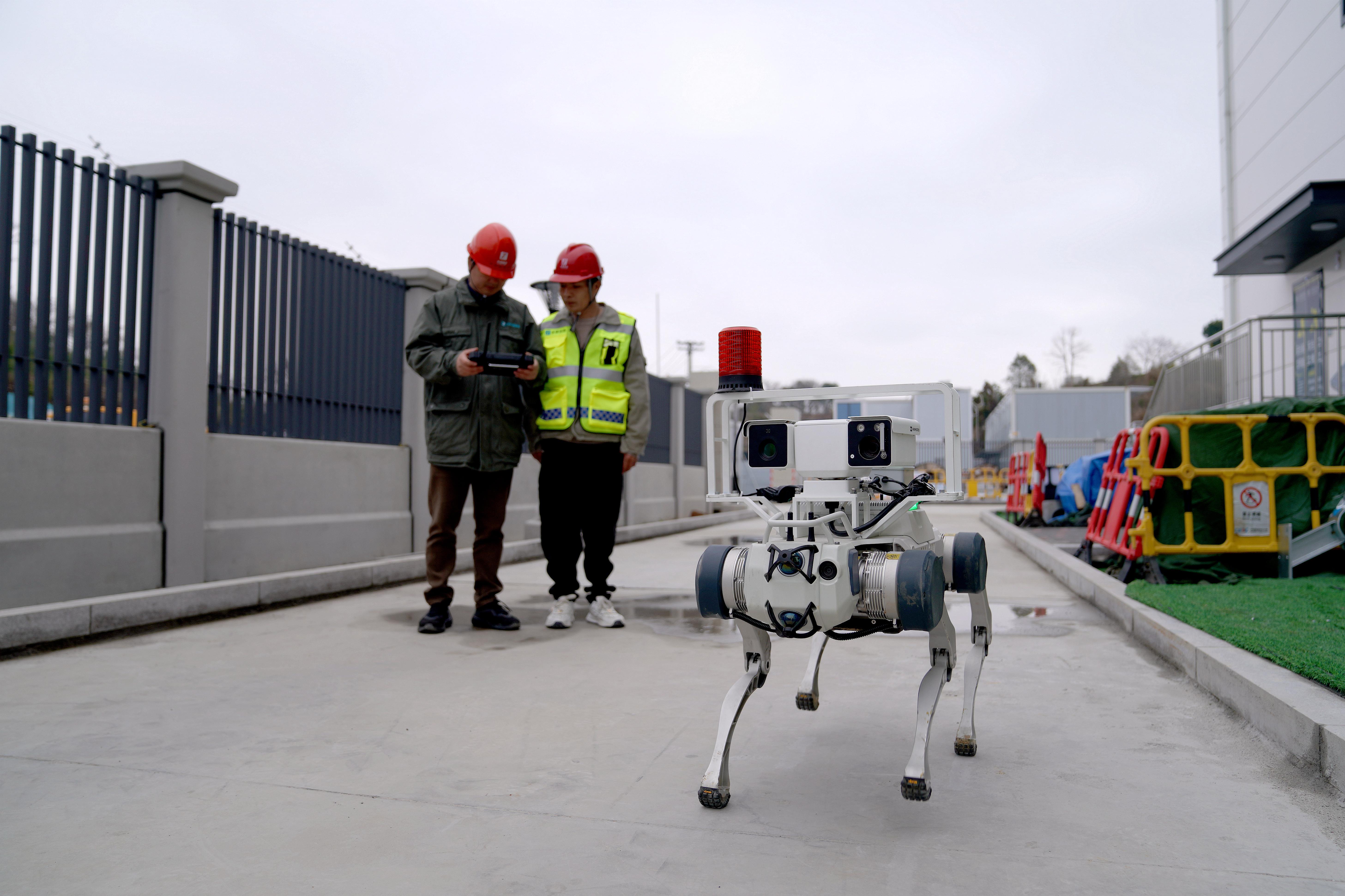 宁波余姚：村里来了机器人“员工”