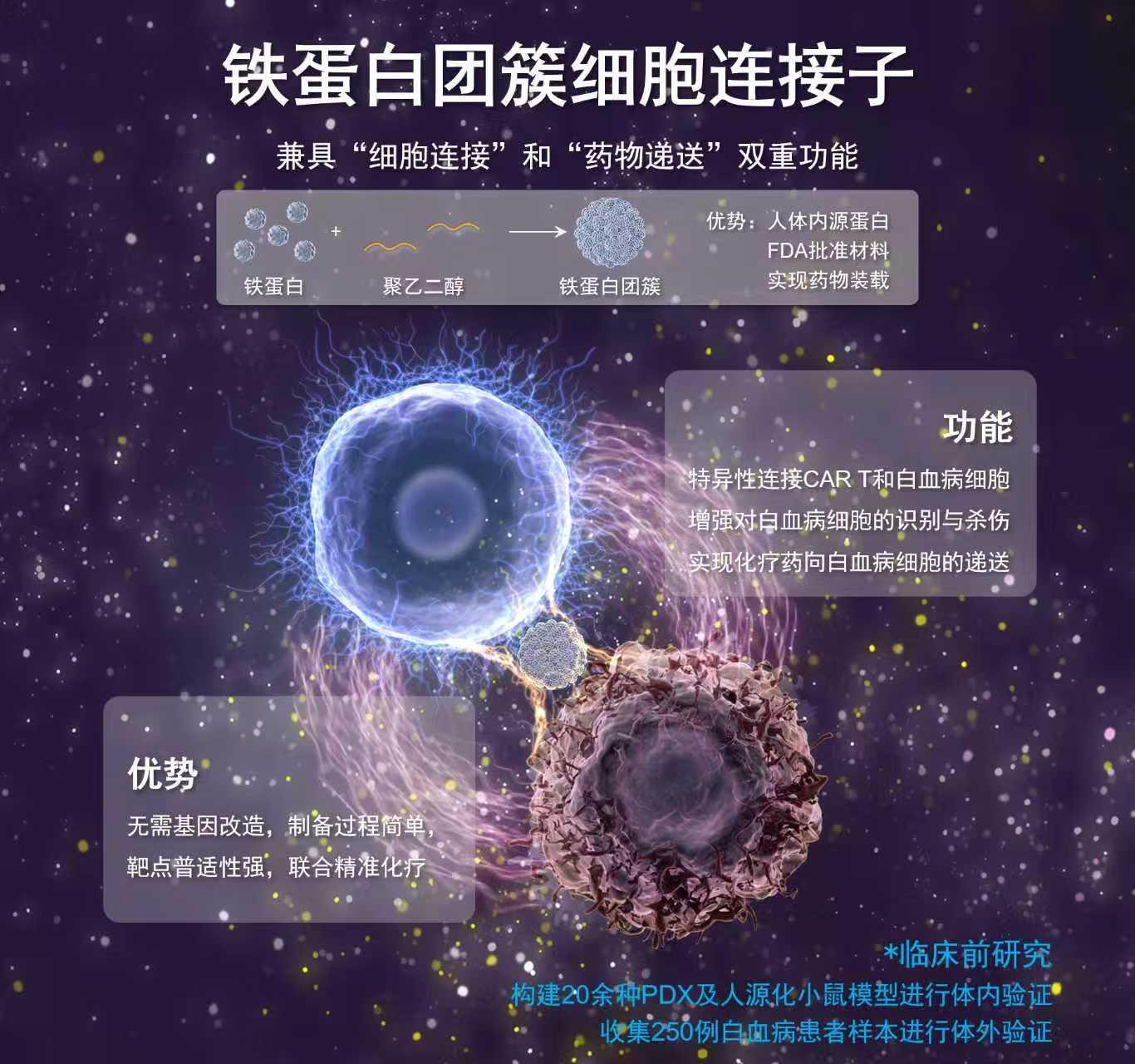 一张“双面胶”让CAR T细胞精准追杀白血病细胞