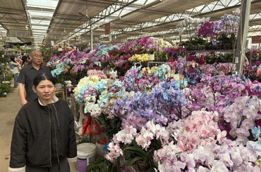 青岛：春暖花市俏