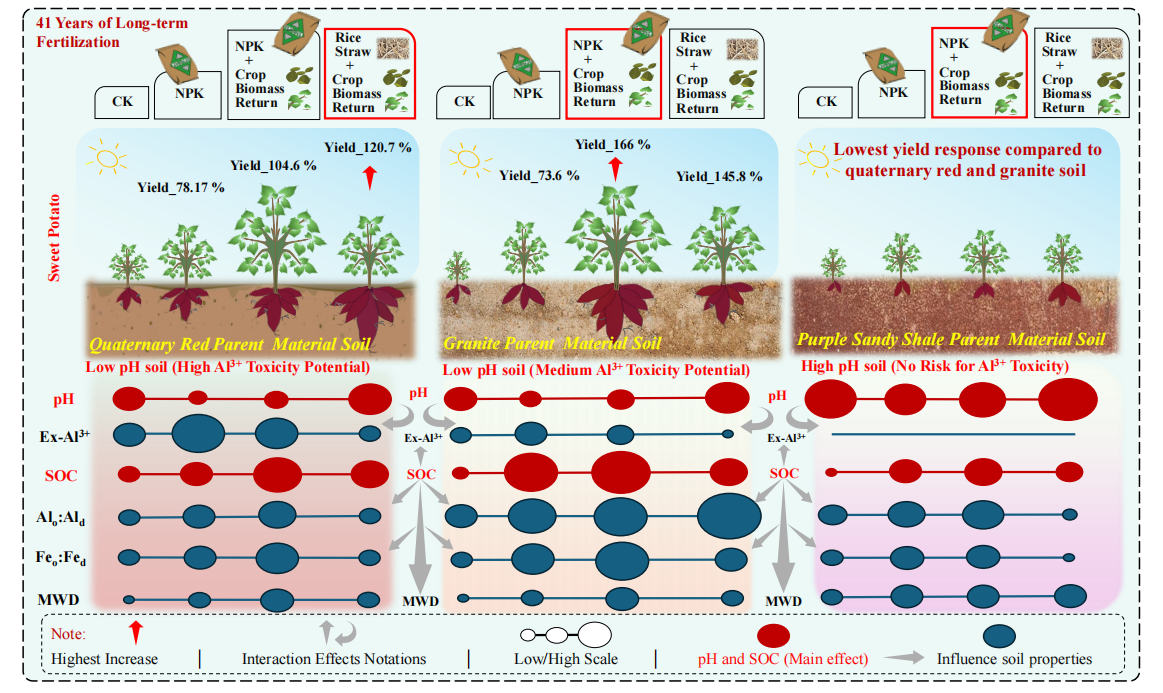 最新研究发现长期秸秆还田可固碳降酸提高作物产量