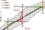 科研人员发现镱-150同核异能态