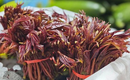 营养师分析了20多种春菜，推荐了这7种