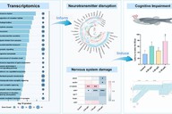 我科研团队在新污染物生态健康风险研究领域取得新进展