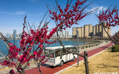 青岛西海岸新区唐岛湾畔，花开浪漫