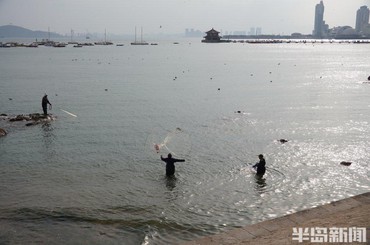 青岛大爷展身手，游客围观捕鱼乐