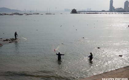 青岛大爷展身手，游客围观捕鱼乐