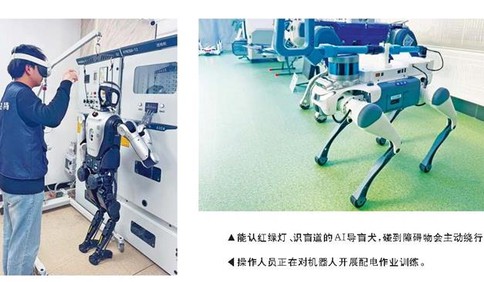 AI导盲犬能“避坑”还能陪聊天 ！“小巨人”企业赛飞特深耕“人工智能+” 拓展应用场景赋能千行百业