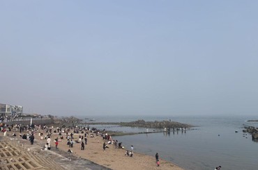 青岛沿海一线温暖春色，游人如织