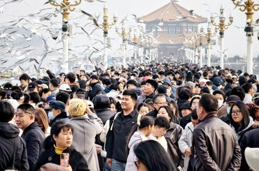 摩肩擦踵游栈桥，人鸥同乐享春日