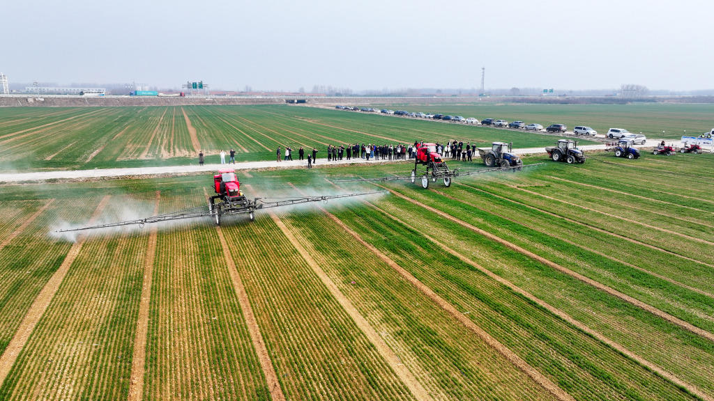 田间管理从“靠经验”向“靠数据”、从“人力为主”向“机飞人控”转变，西海岸新区农作物耕种收综合机械化率达92%以上