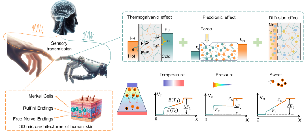 自供电水凝胶电子皮肤破解人机交互难题