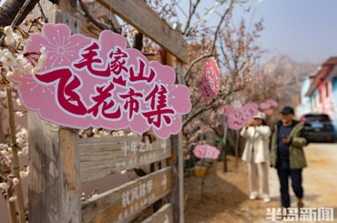 飞花市集闹春山！青岛毛家山引万人踏春