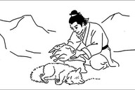 “你在雪山，可曾救过一只狐狸？”