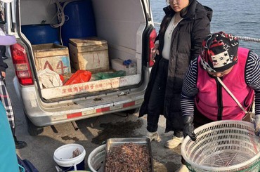 码头鲜货满满，春日鲜味飘香
