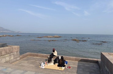 春光正好！青岛沿海一线人气十足