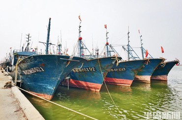 青岛：渔船静泊待渔汛