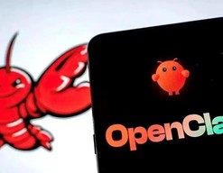 关于“龙虾”OpenClaw 最新风险提示