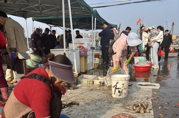 海鲜上岸，市民尝鲜