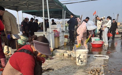 海鲜上岸,市民尝鲜