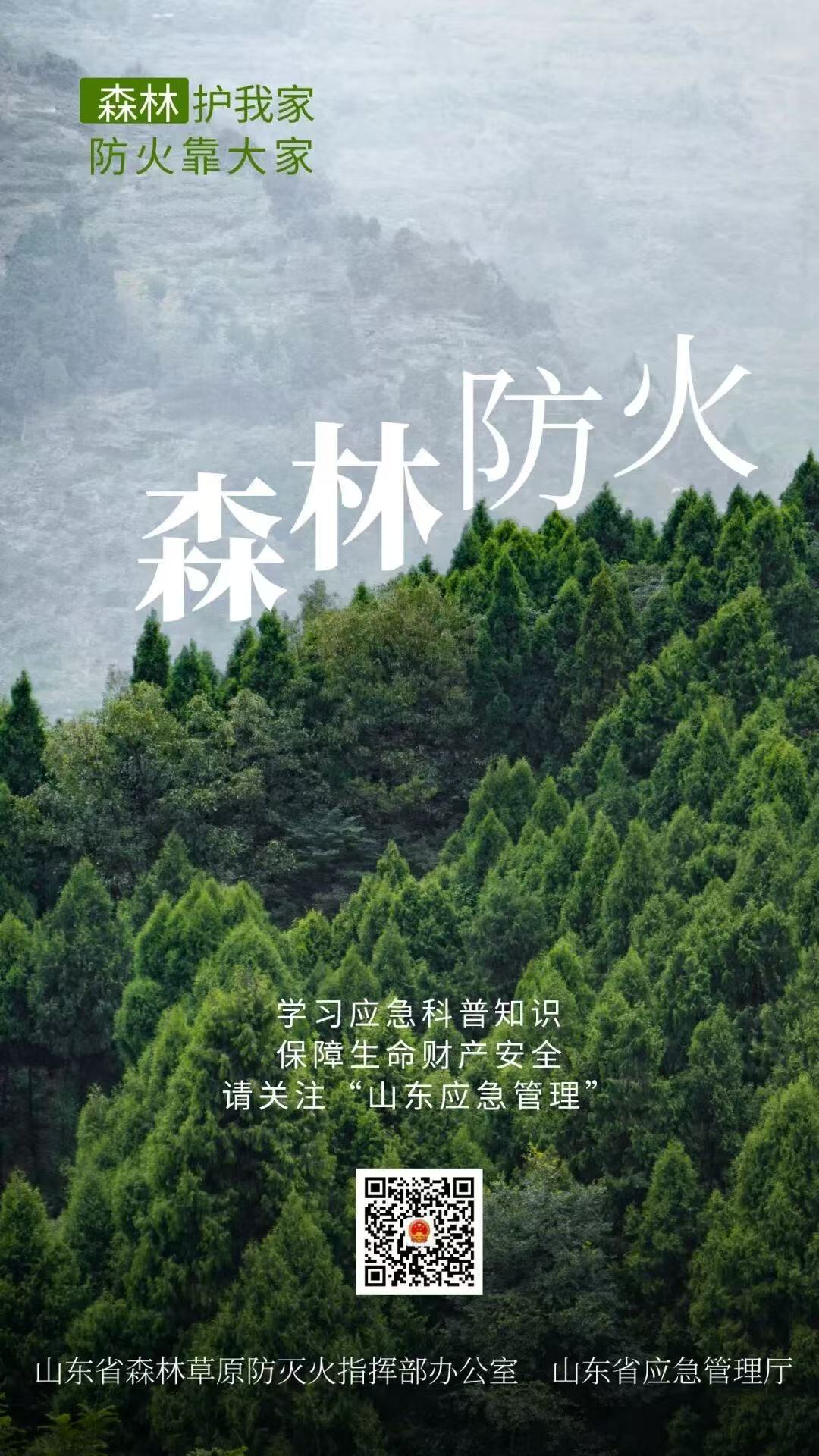 清明将至，谨记防火！森林护我家，防火靠大家