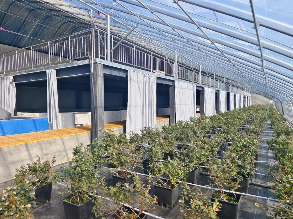 跨越1700公里！青岛陇南双向奔赴，以协作之力让高质量农业“破圈”生长