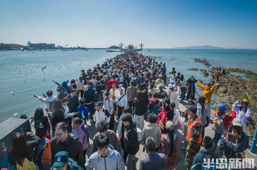 清明假期首日，栈桥景区游人如织