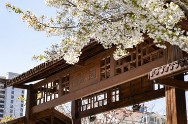 口袋公园里的春天