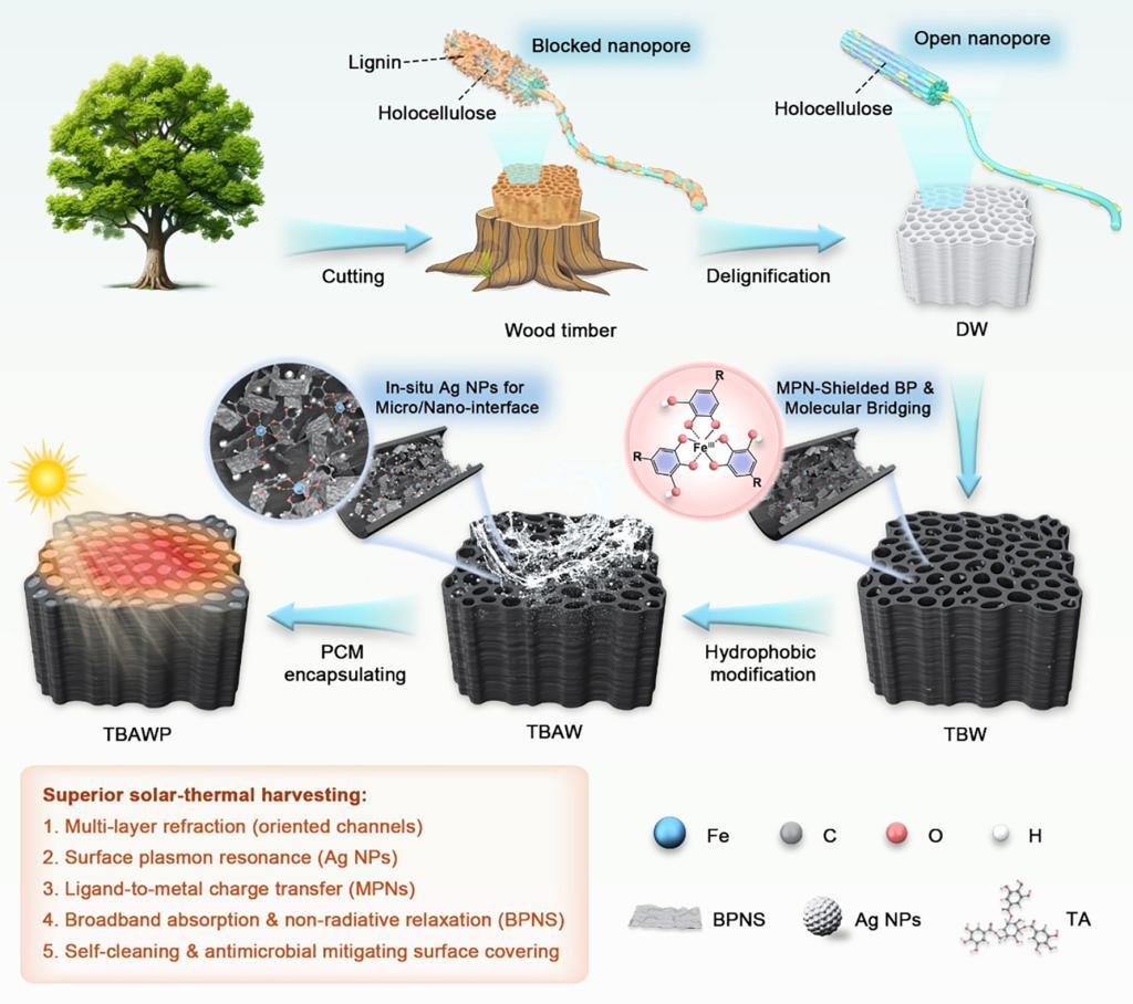 绿色能源阻燃复合材料研究有重要进展