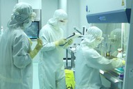 给大脑装上“精准刹车”，国产干细胞新药改写癫痫治疗格局