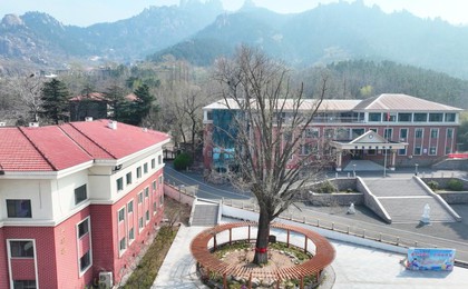 青岛这所校园被古树环绕，太有氛围感了！