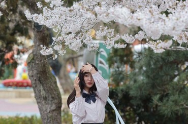 青岛中山公园：登高拍樱花，春日氛围感拉满