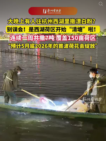 杭州西湖要撒7吨漂白粉，官方回应