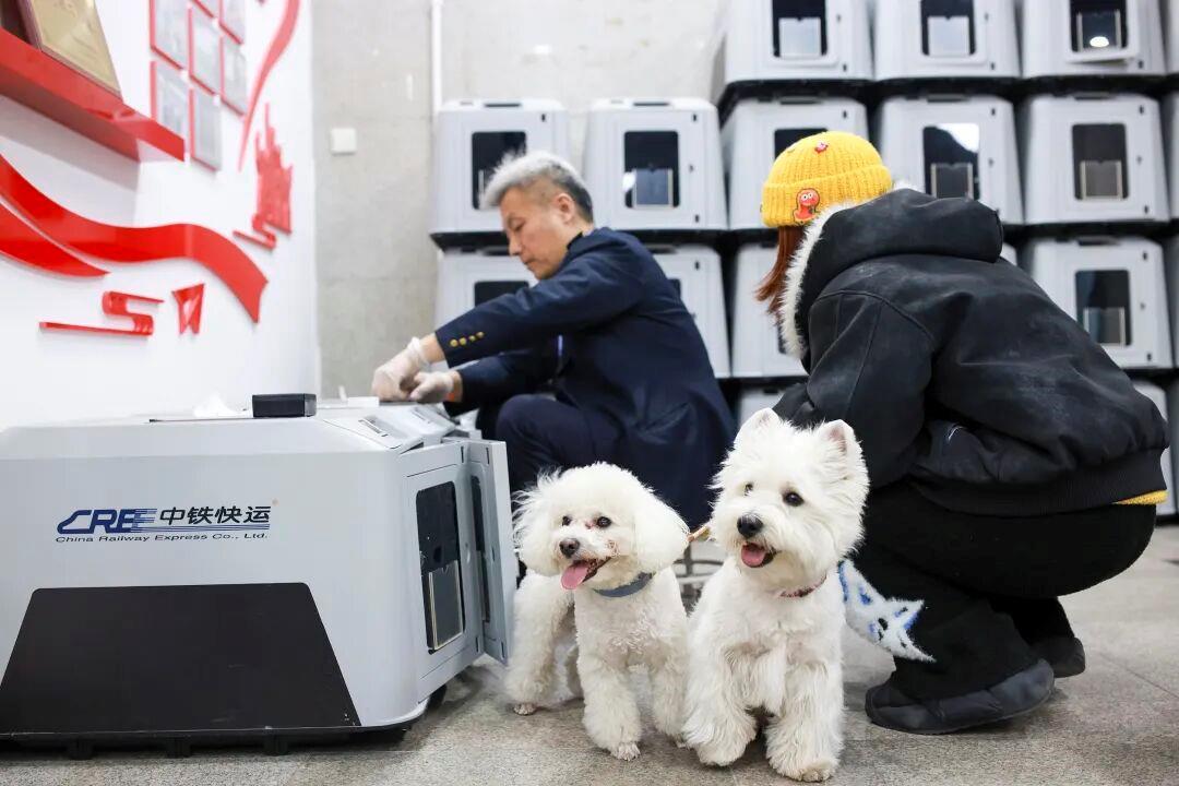 铁路宠物托运升级，它们可以独自“坐”高铁了